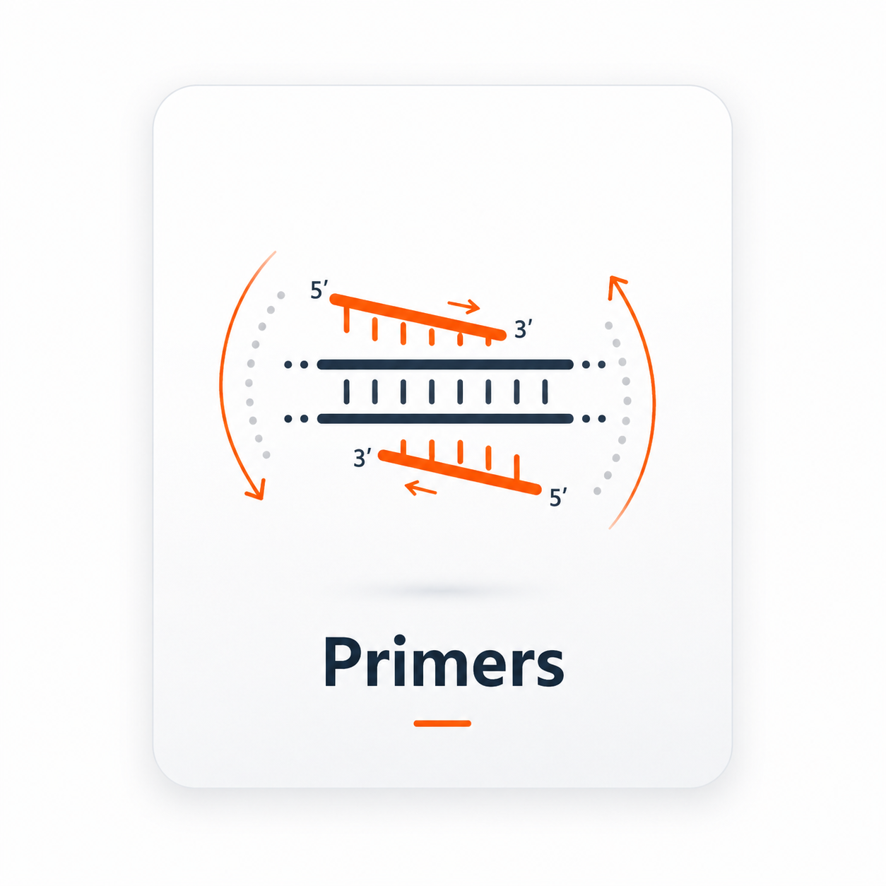 Primers